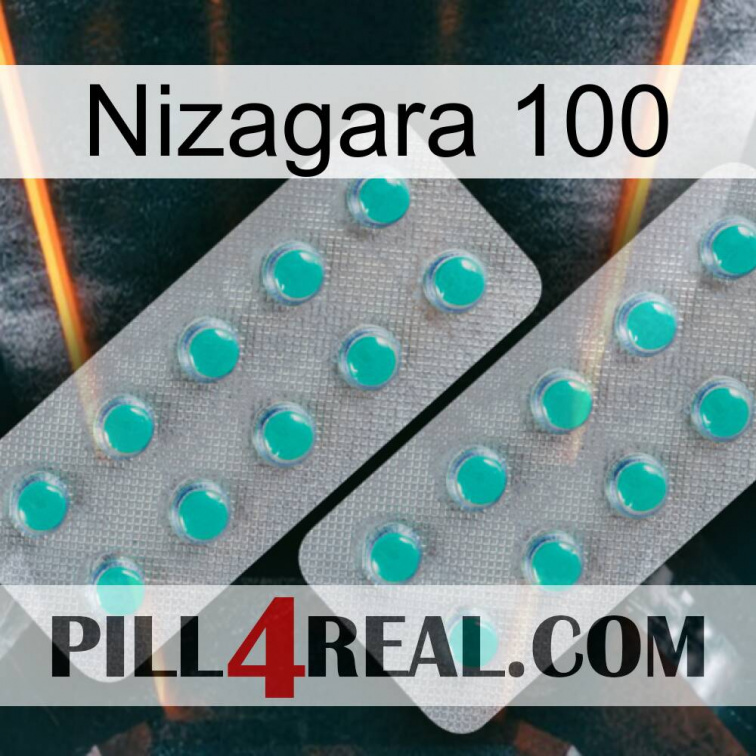 Nizagara 100 29